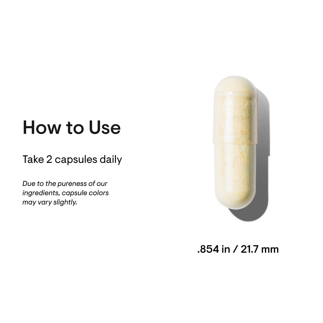 Thorne Basic Nutrients 2/Day - NSF Certified image 2