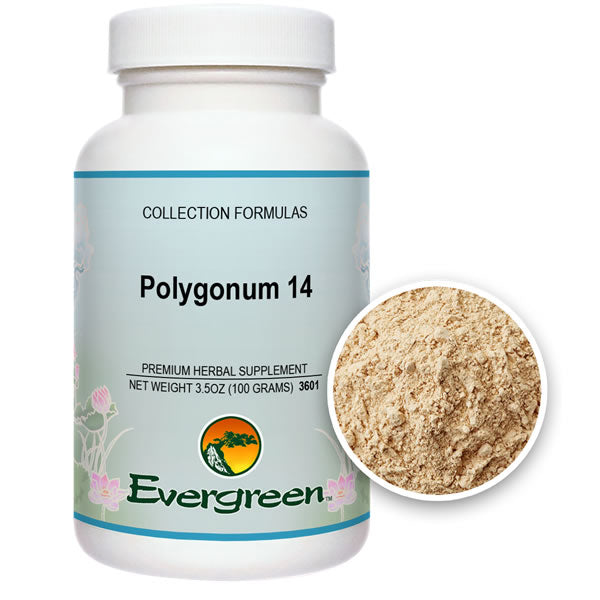 Evergreen Polygonum 14 Granules (100g)