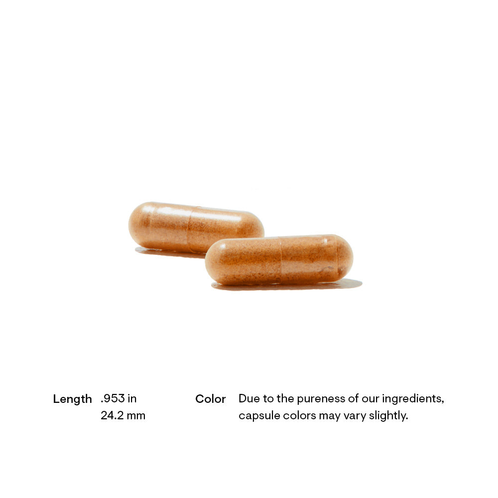 Thorne Red Yeast Rice + CoQ10 image 1